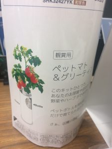 Tomato栽培！