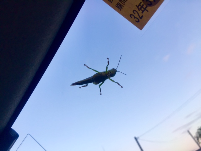 忍耐