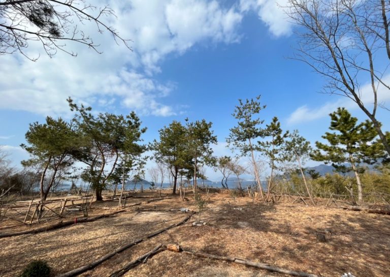 キャンプ⛺