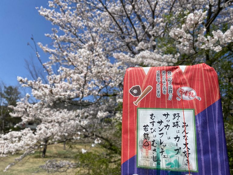 青空と桜と若鶏むすび