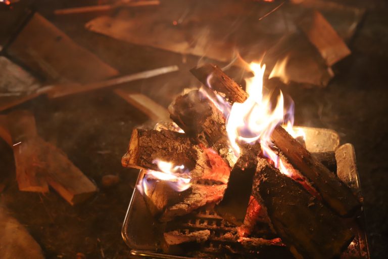 キャンプだほい🏕