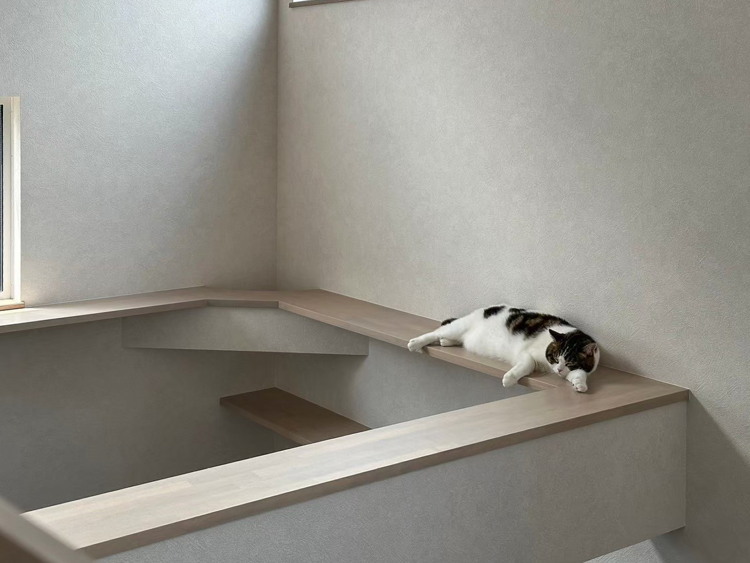 キャットウォーク