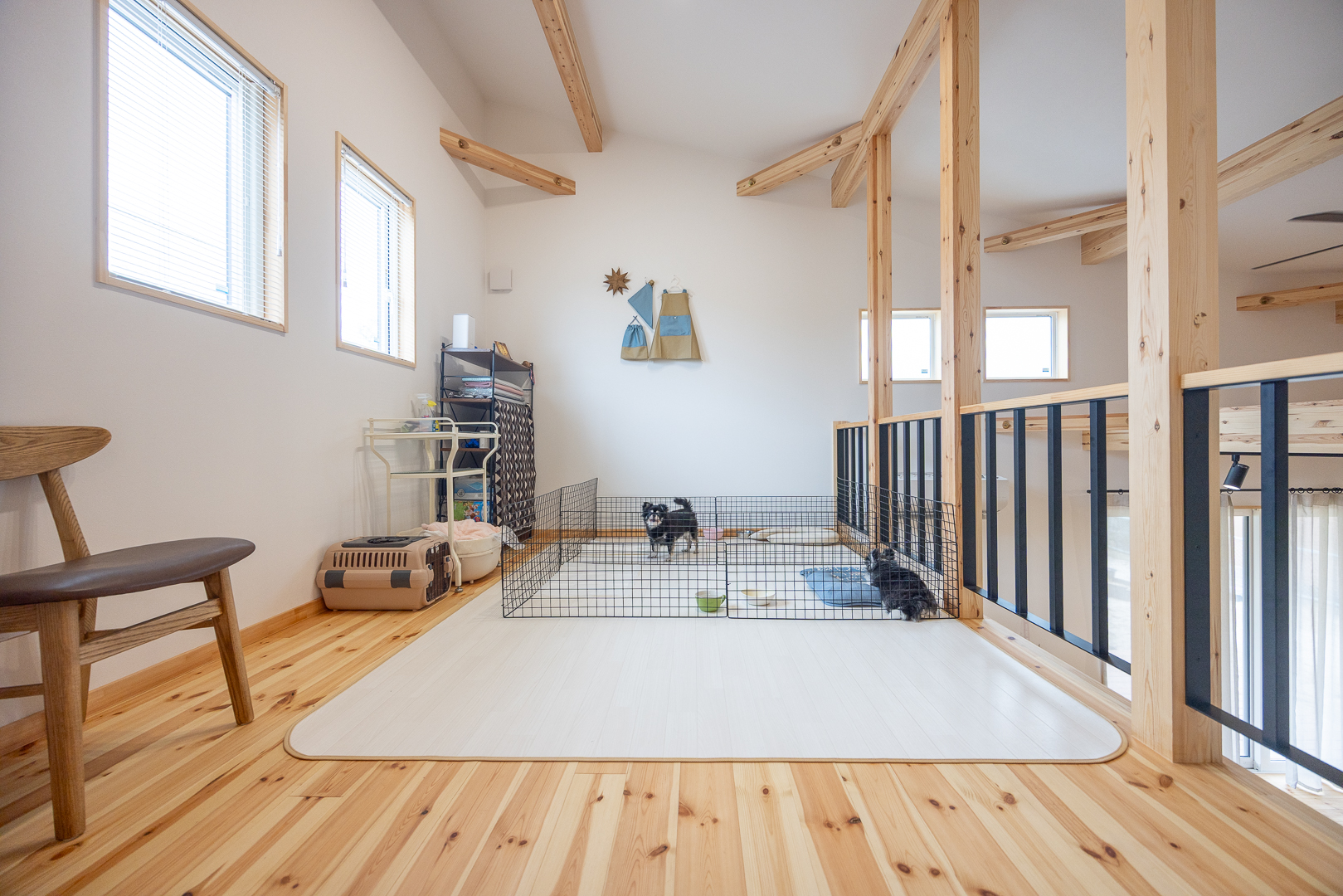 セカンドリビングは、愛犬たちのためのプレイスペースに。自然光がたっぷり入る明るい空間で、のびのびと過ごせる。リビングの気配を感じながら安心できる距離感も魅力。