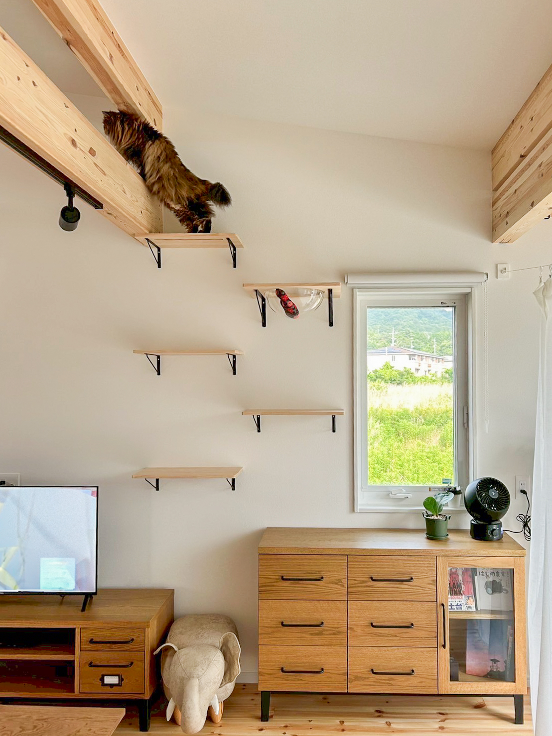 梁と壁を活かしたキャットウォーク。人も猫も、それぞれが心地よく過ごせる工夫を取り入れました。